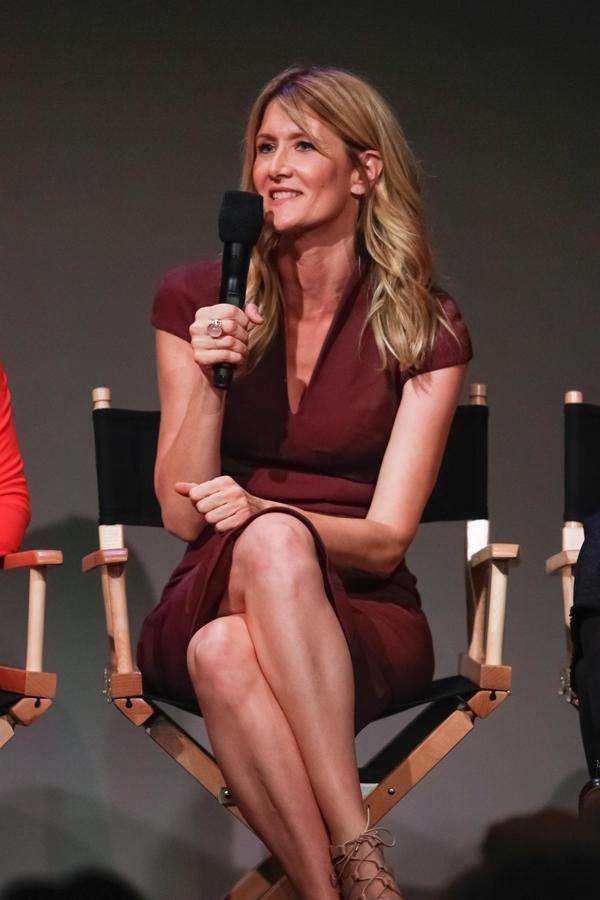 Laura Dern Legs