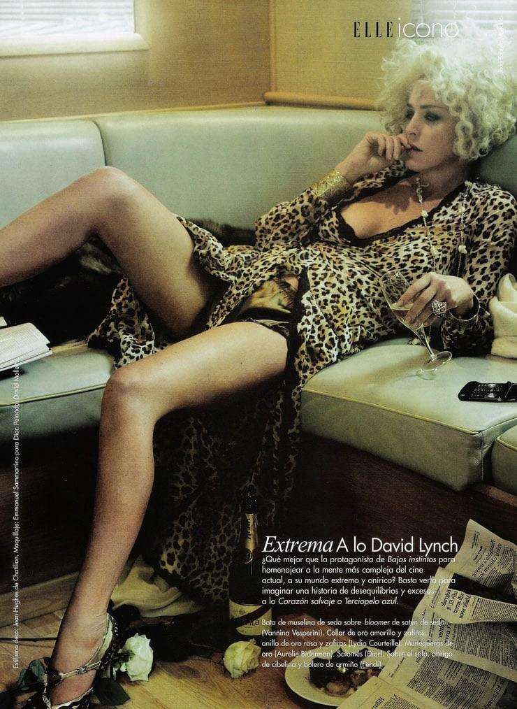 Sharon Stone Legs